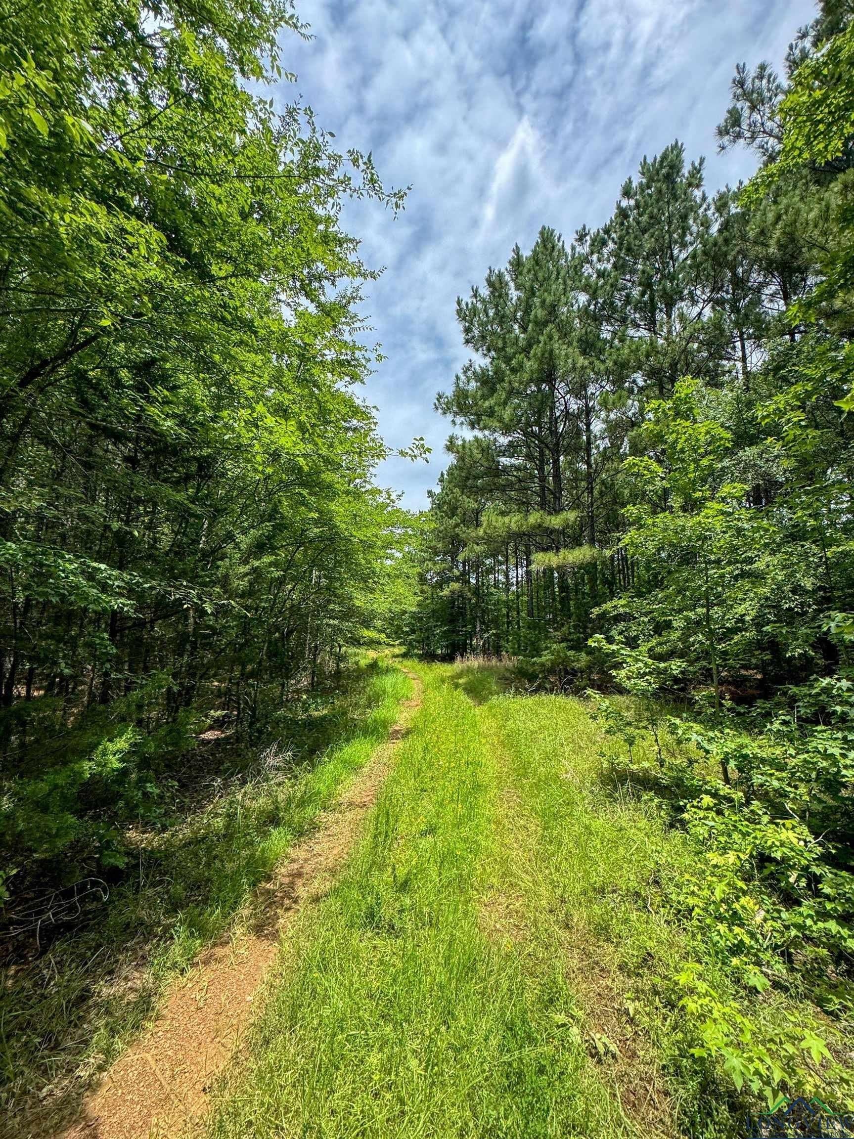 60.43 acres in Morris County - photo 19