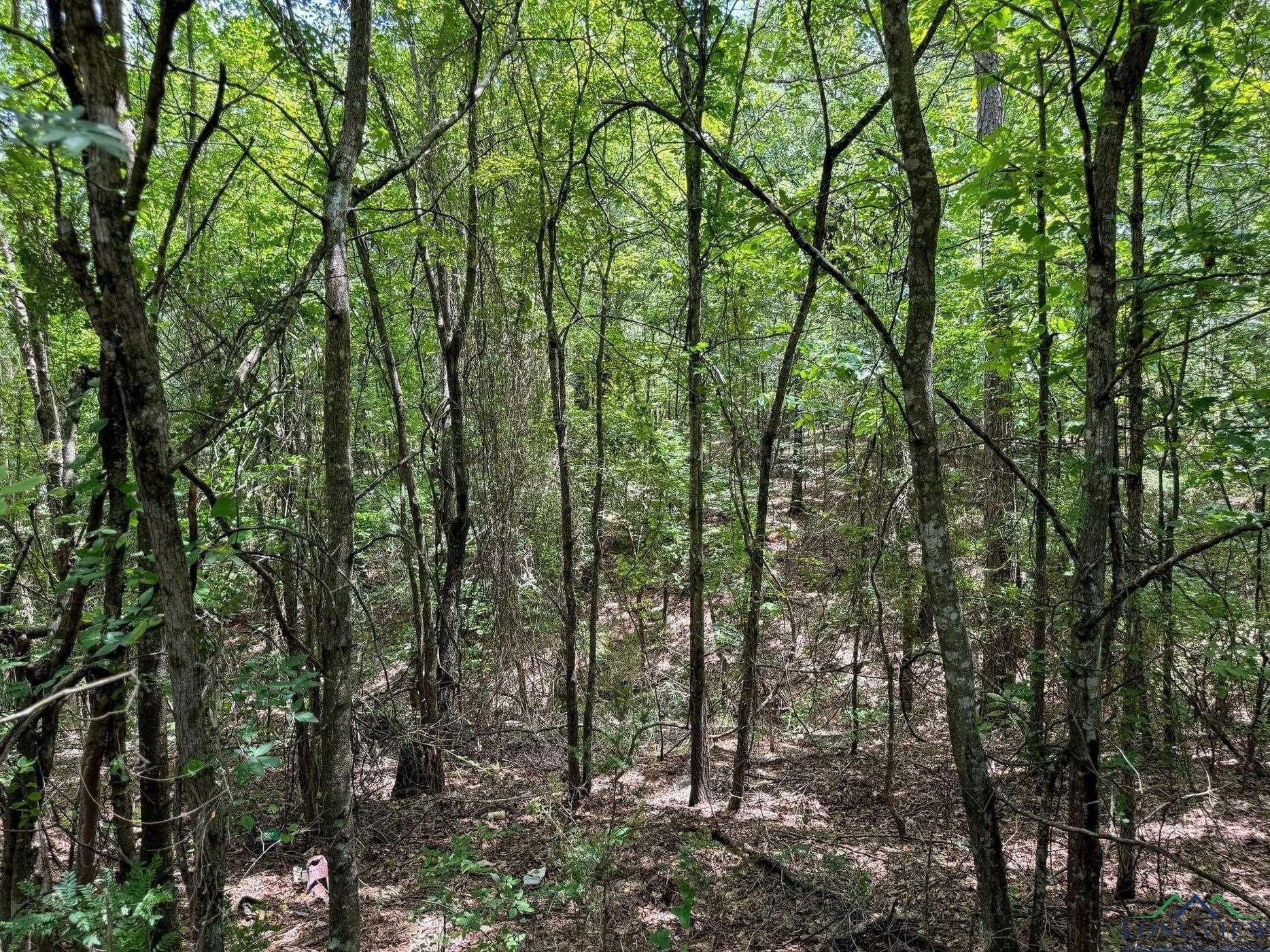60.43 acres in Morris County - photo 31