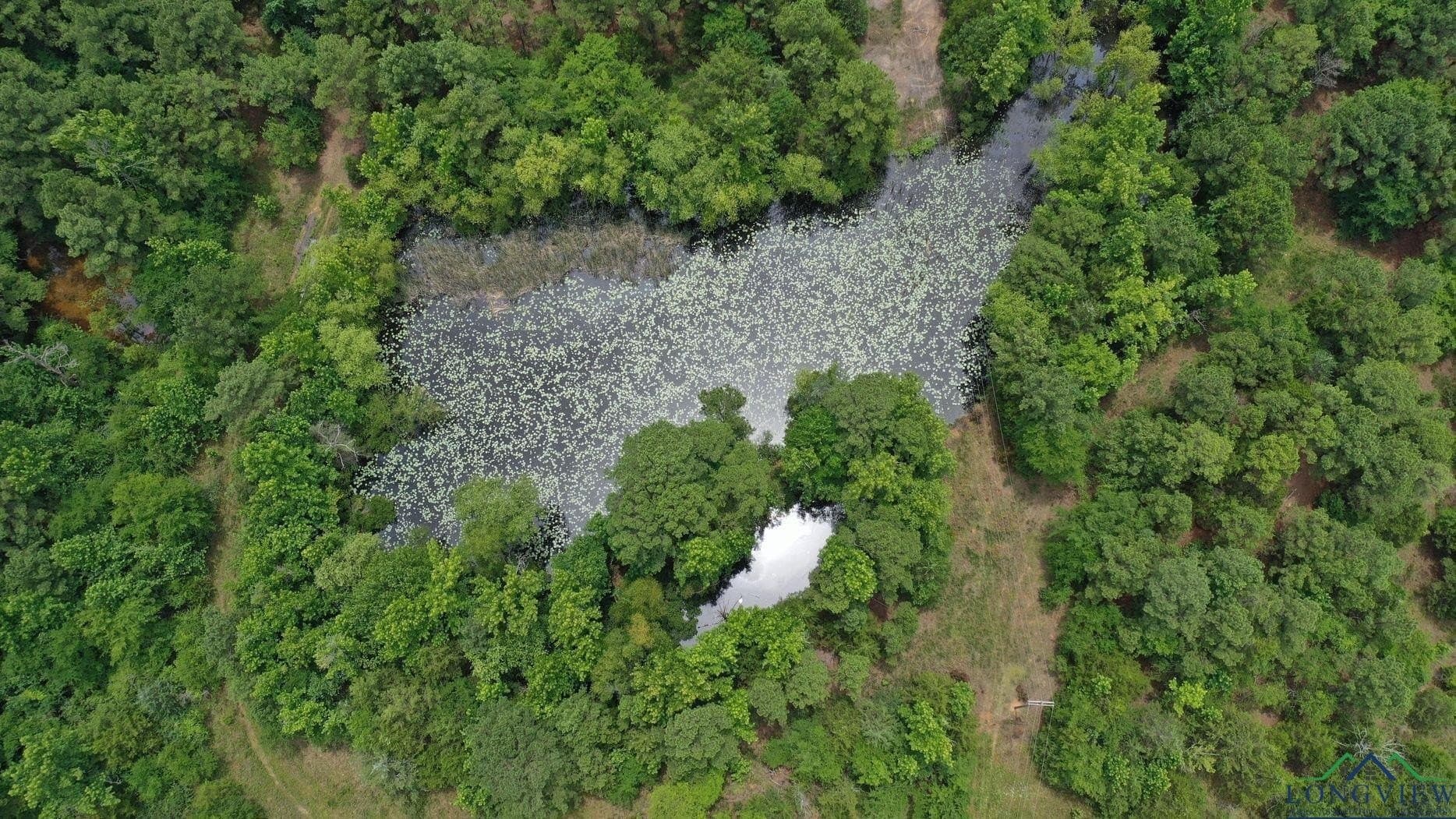 60.43 acres in Morris County - photo 7