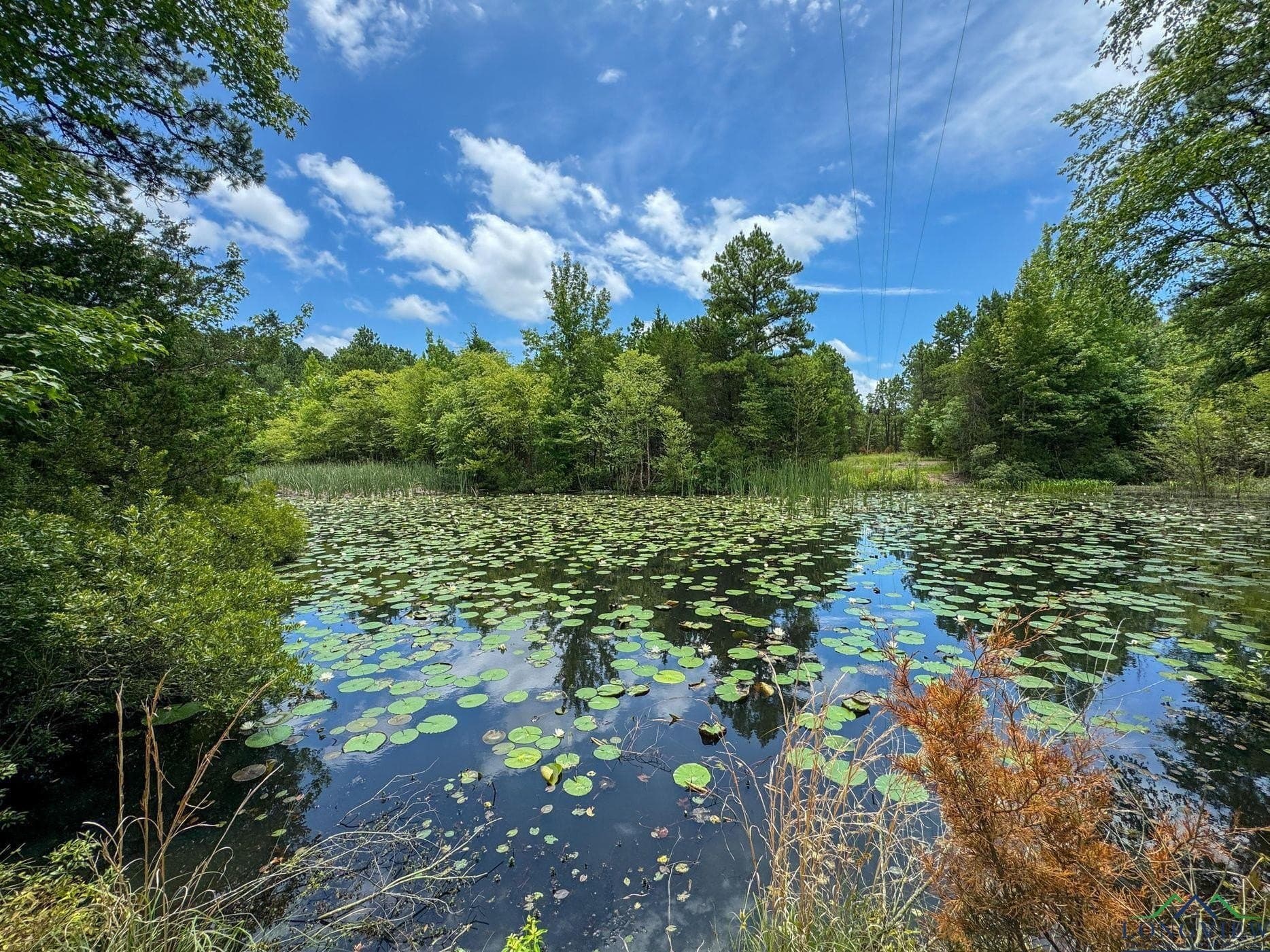 60.43 acres in Morris County - photo 2