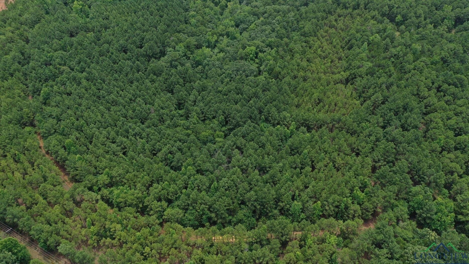60.43 acres in Morris County - photo 10