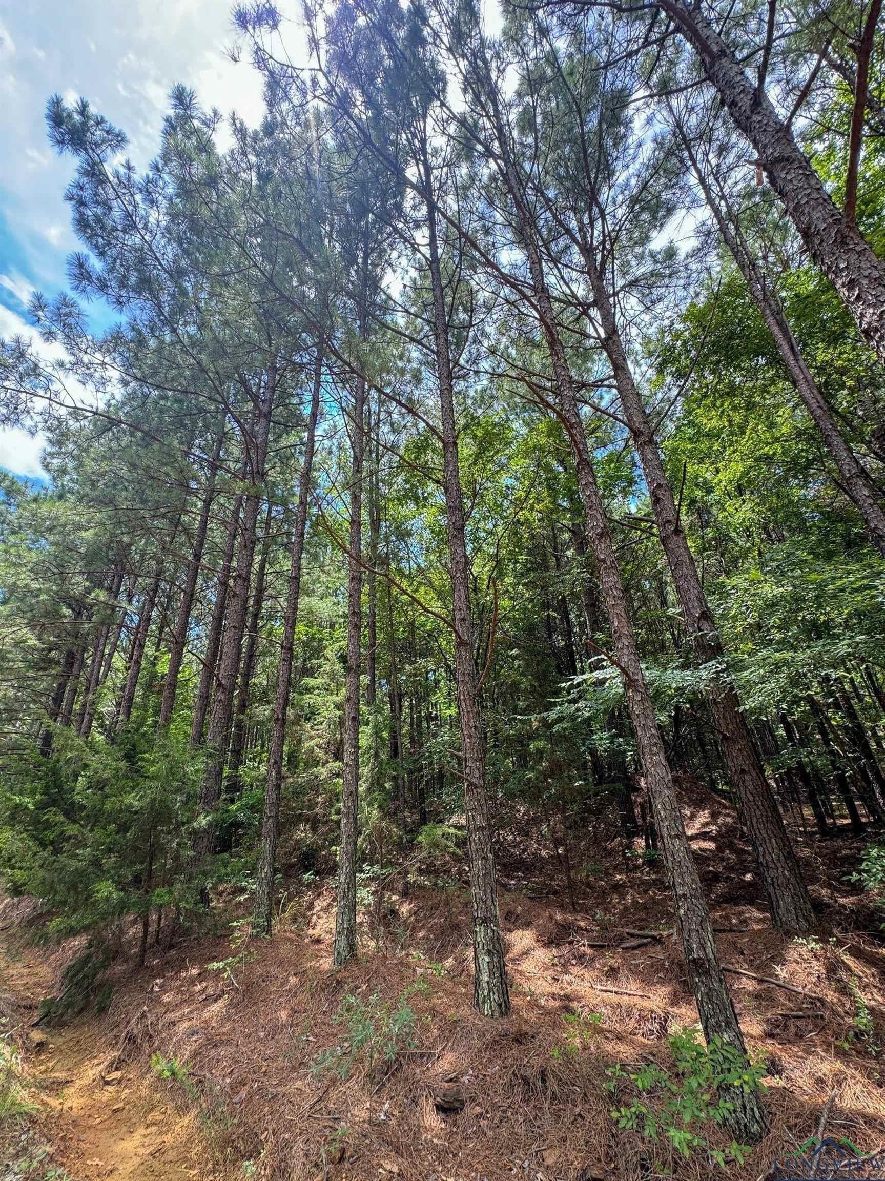 60.43 acres in Morris County - photo 25