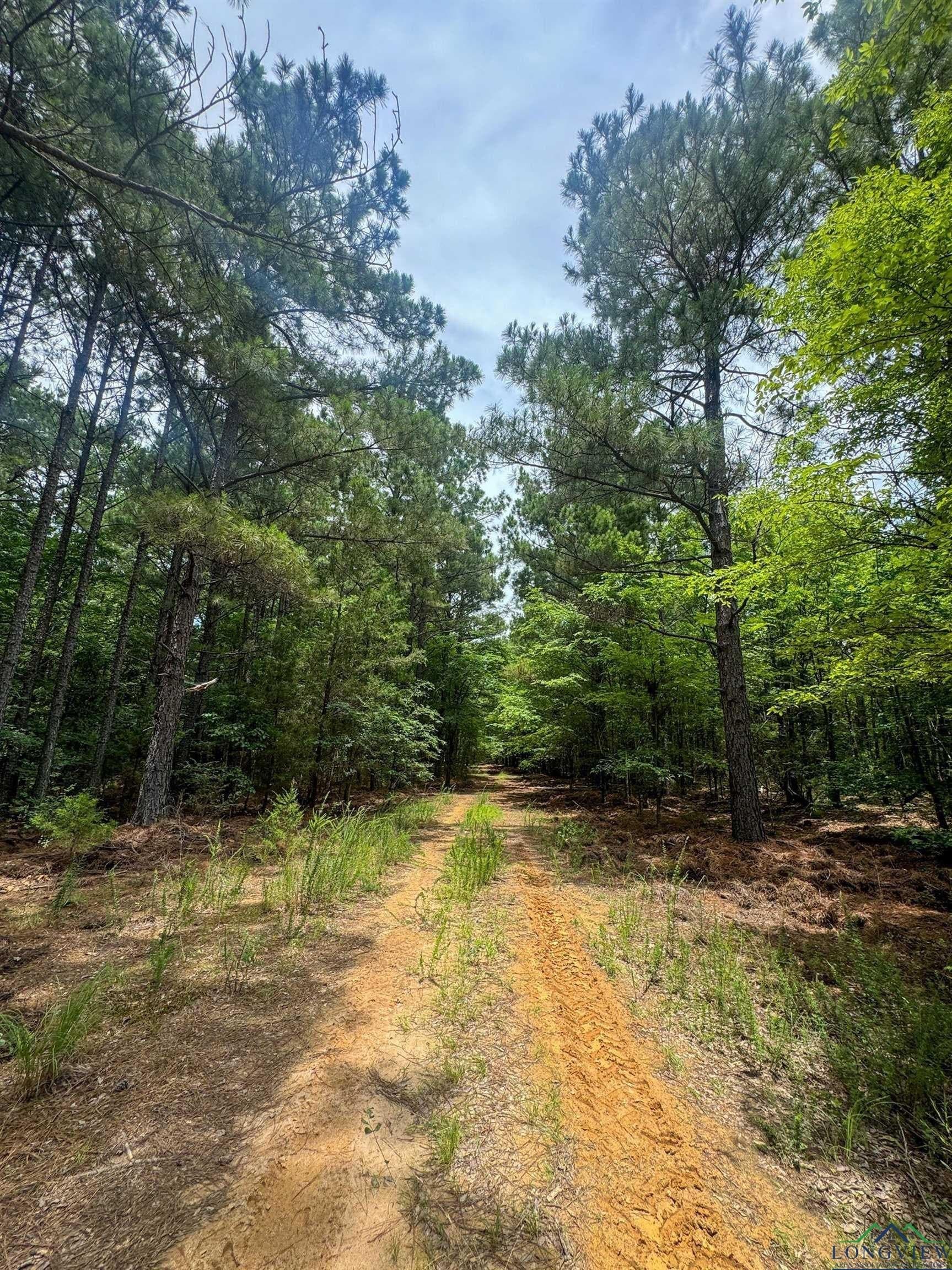 60.43 acres in Morris County - photo 20