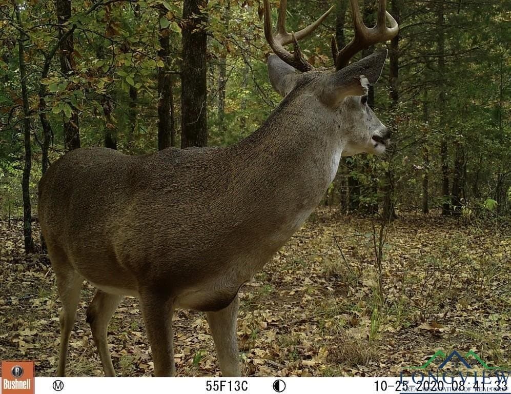 60.43 acres in Morris County - photo 14