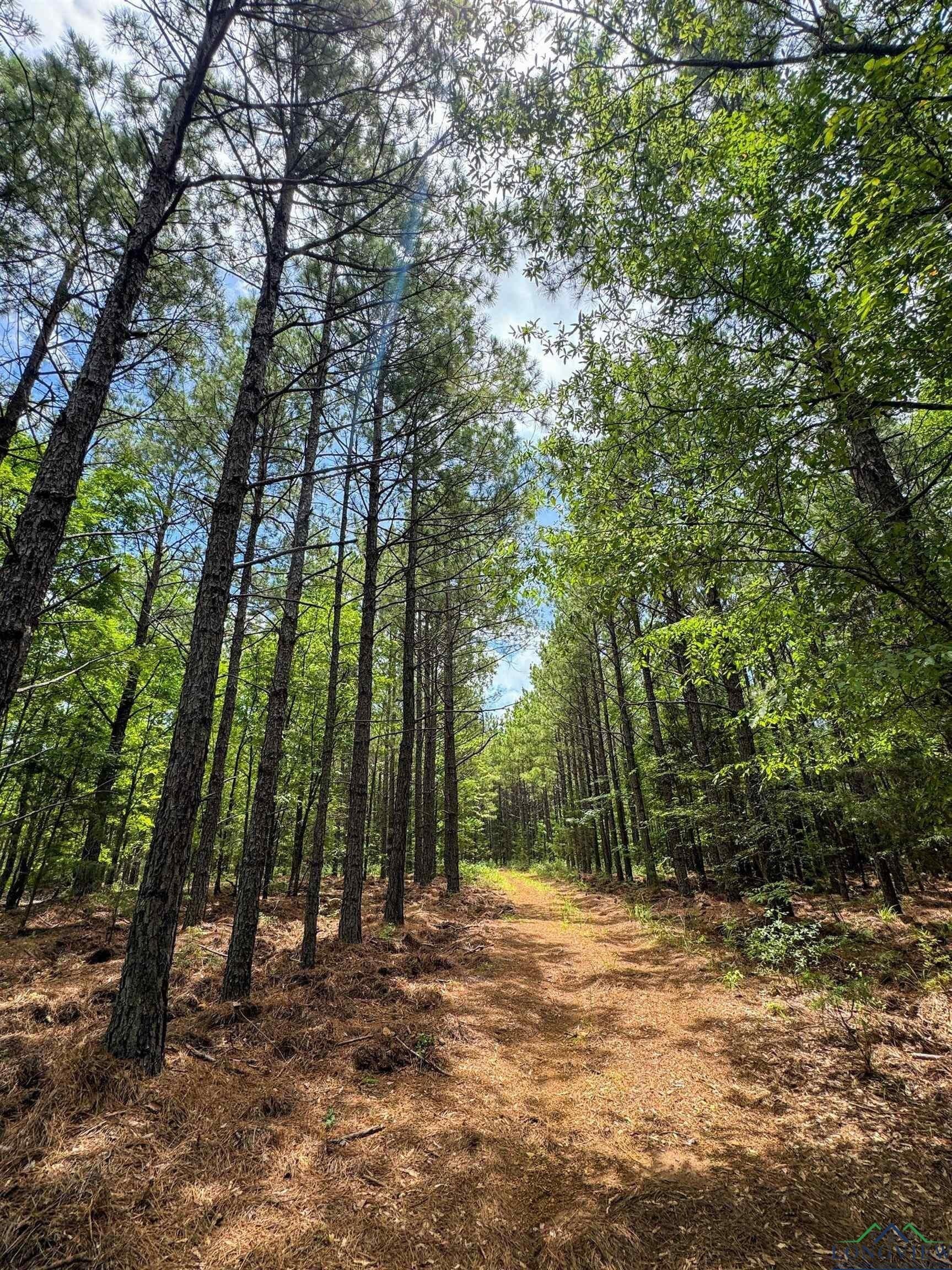 60.43 acres in Morris County - photo 28