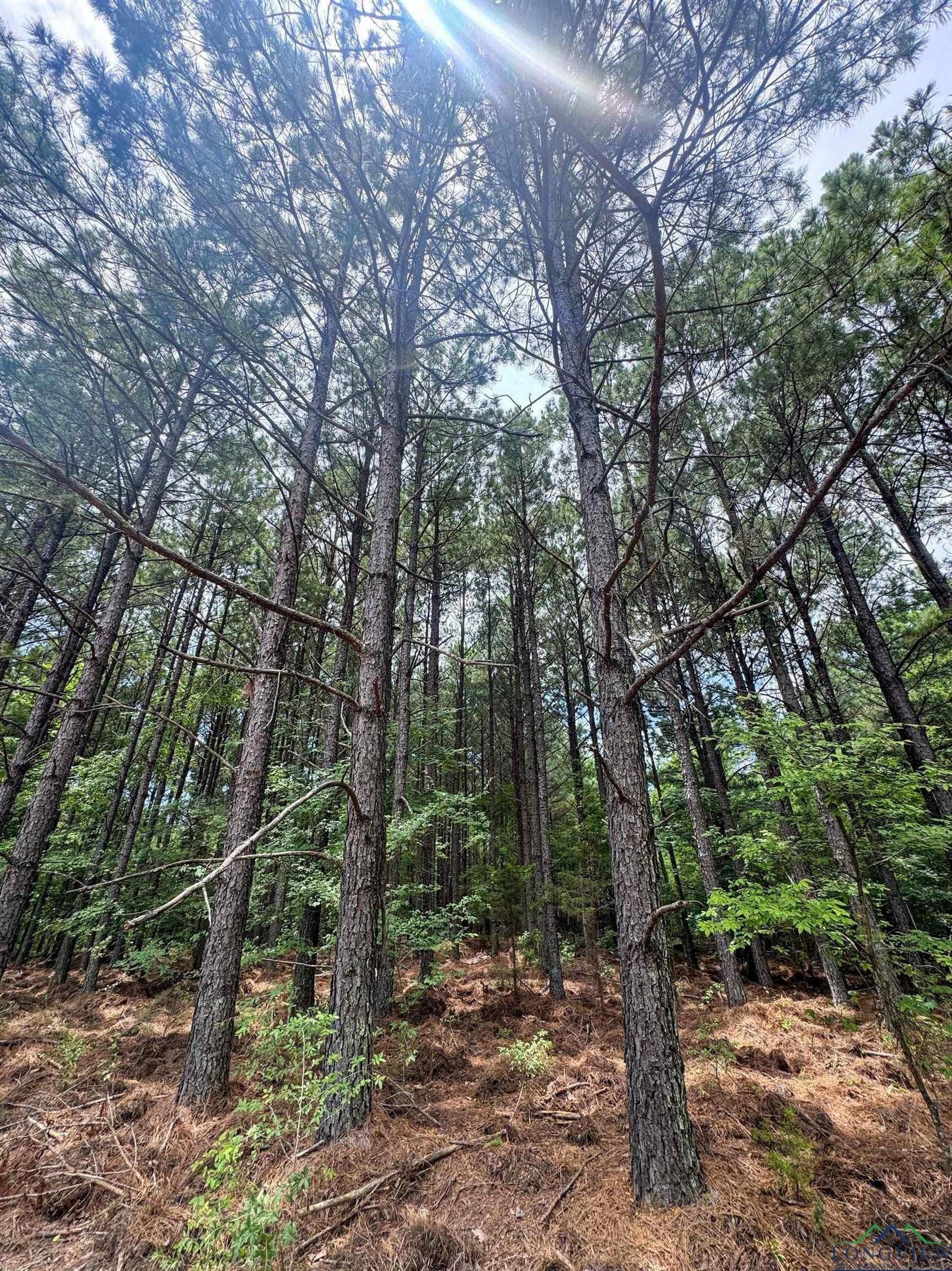 60.43 acres in Morris County - photo 34