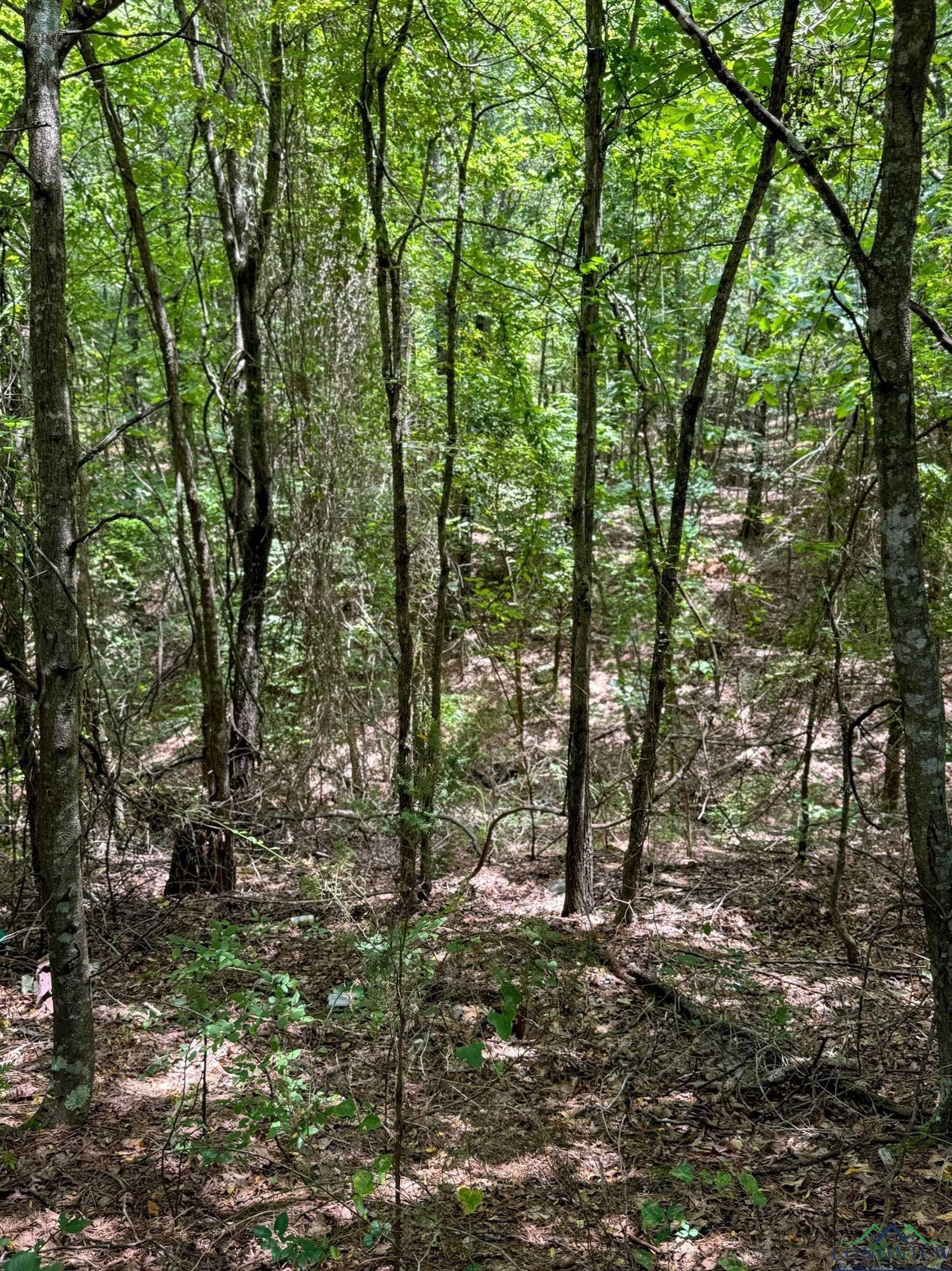 60.43 acres in Morris County - photo 32