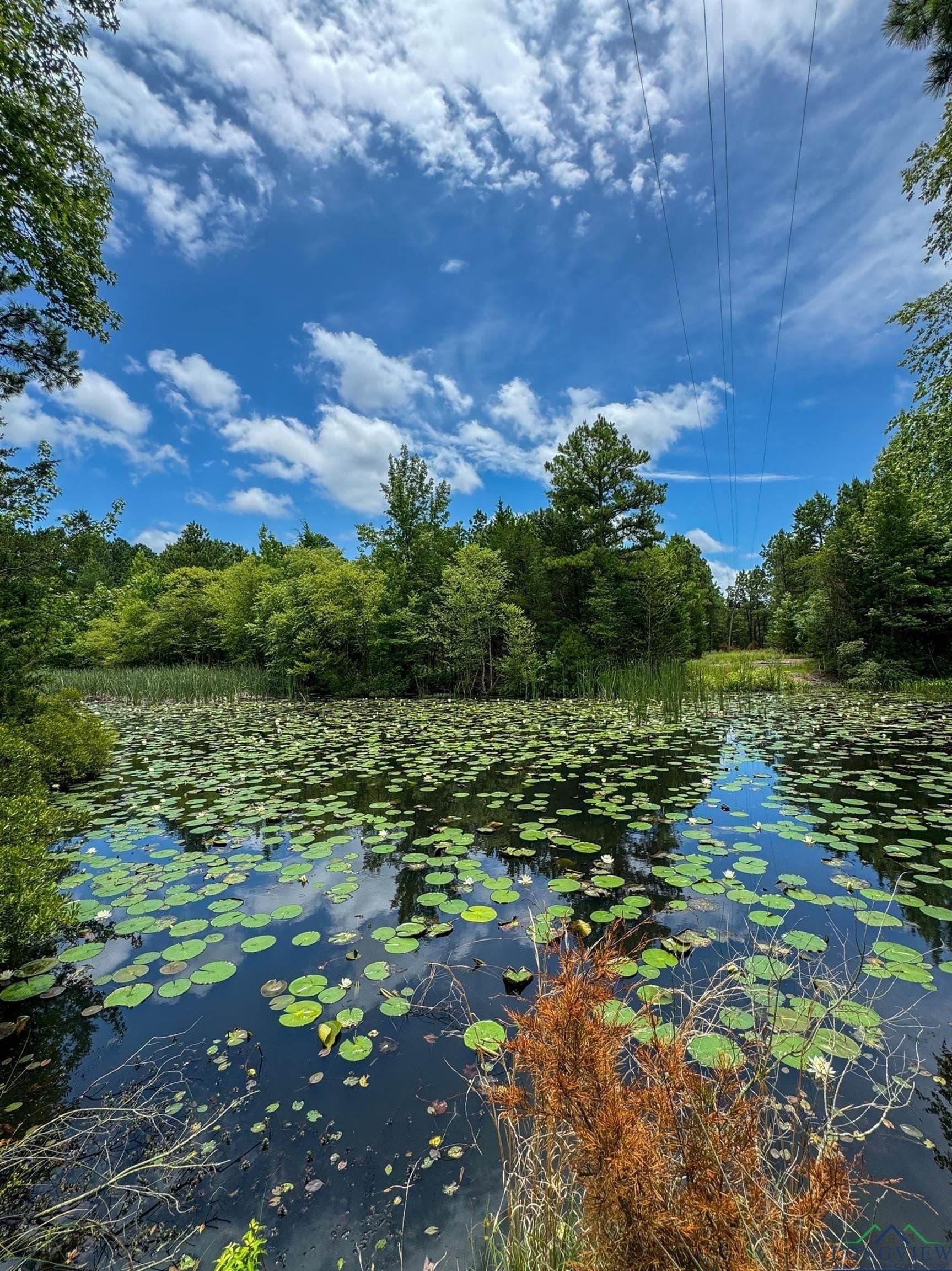 60.43 acres in Morris County - photo 4