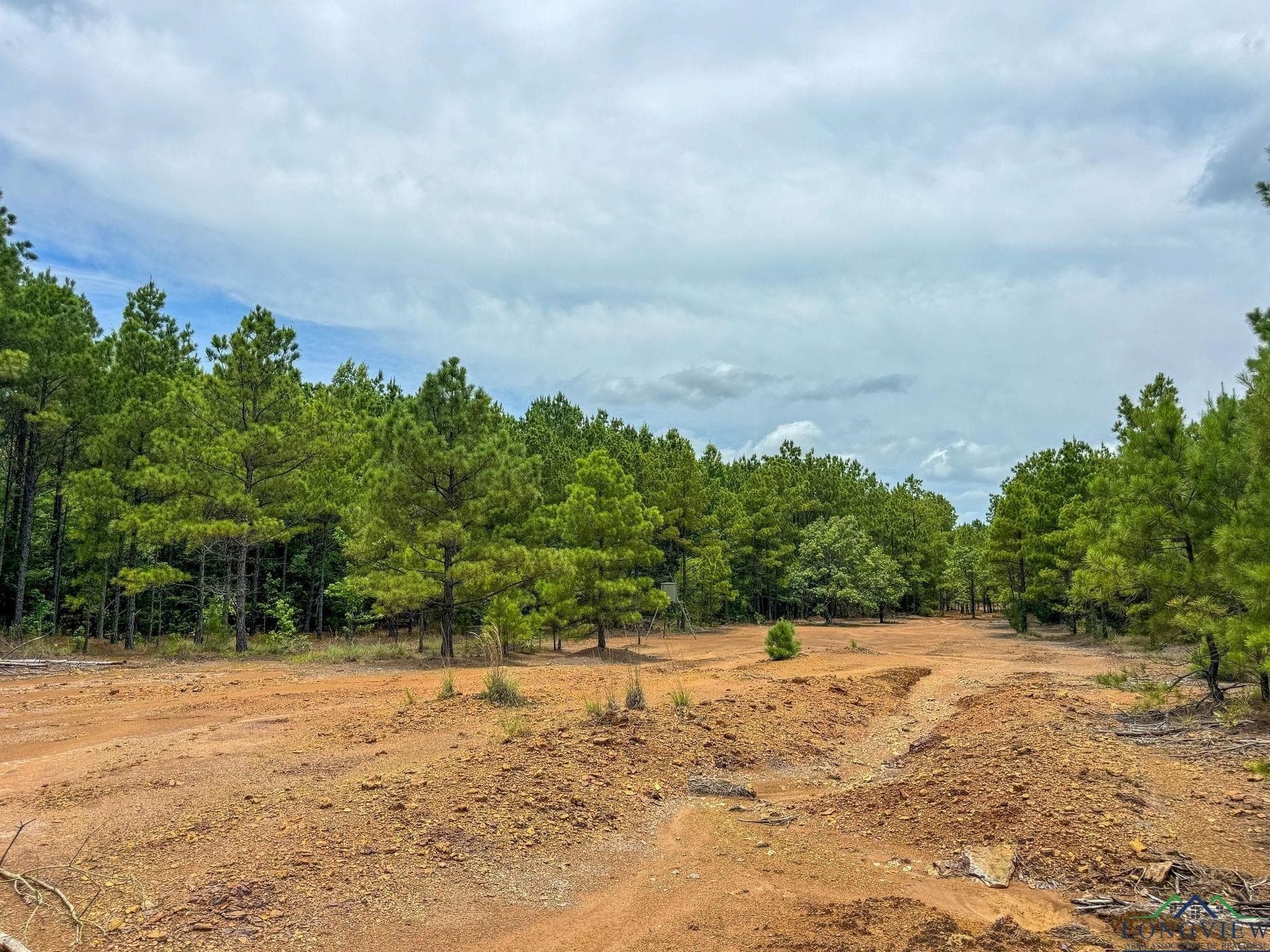 60.43 acres in Morris County - photo 40
