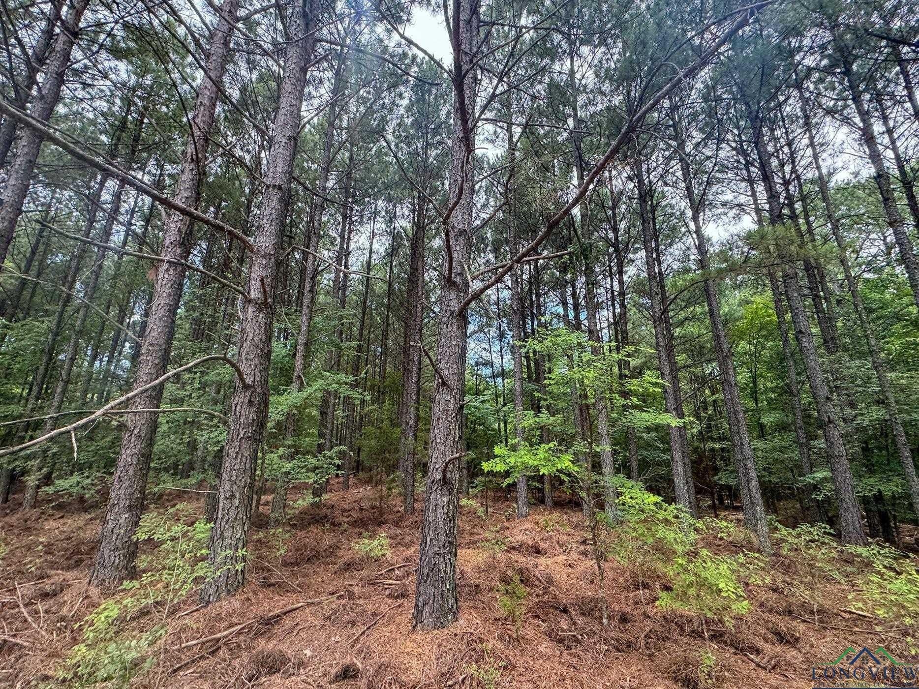 60.43 acres in Morris County - photo 35