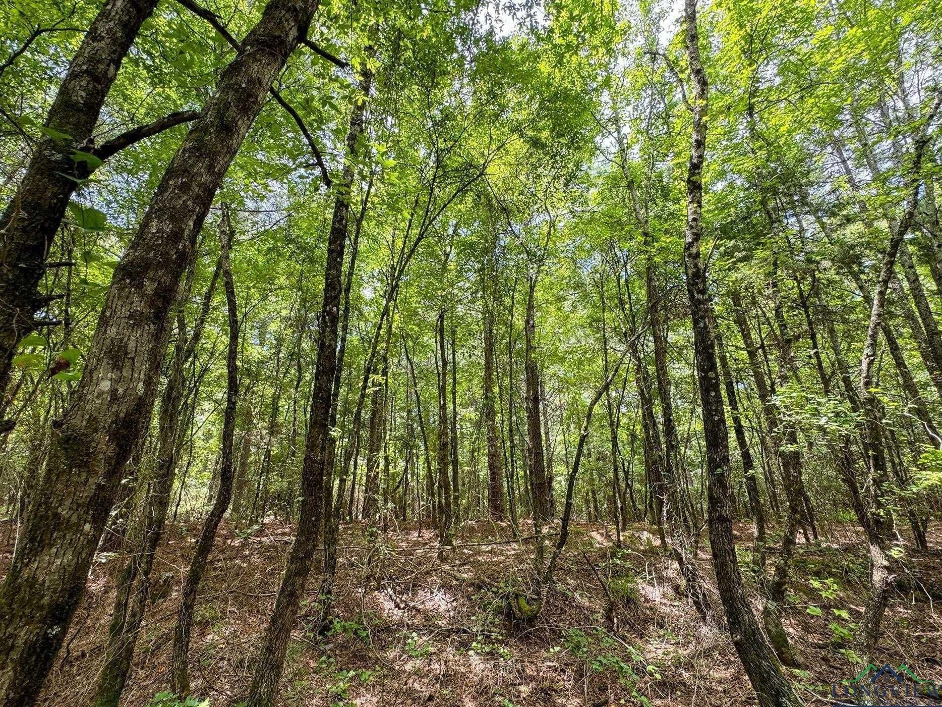 60.43 acres in Morris County - photo 30