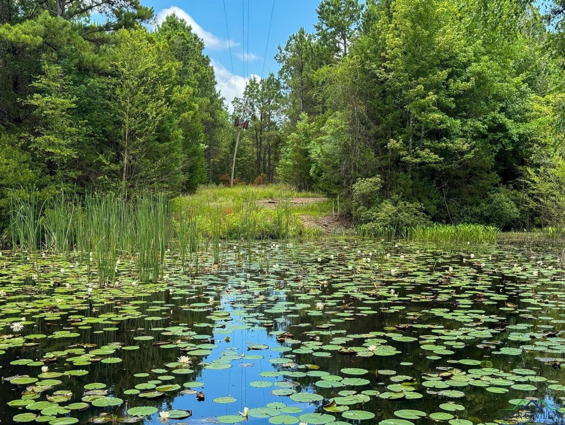 60.43 acres in Morris County - photo 3