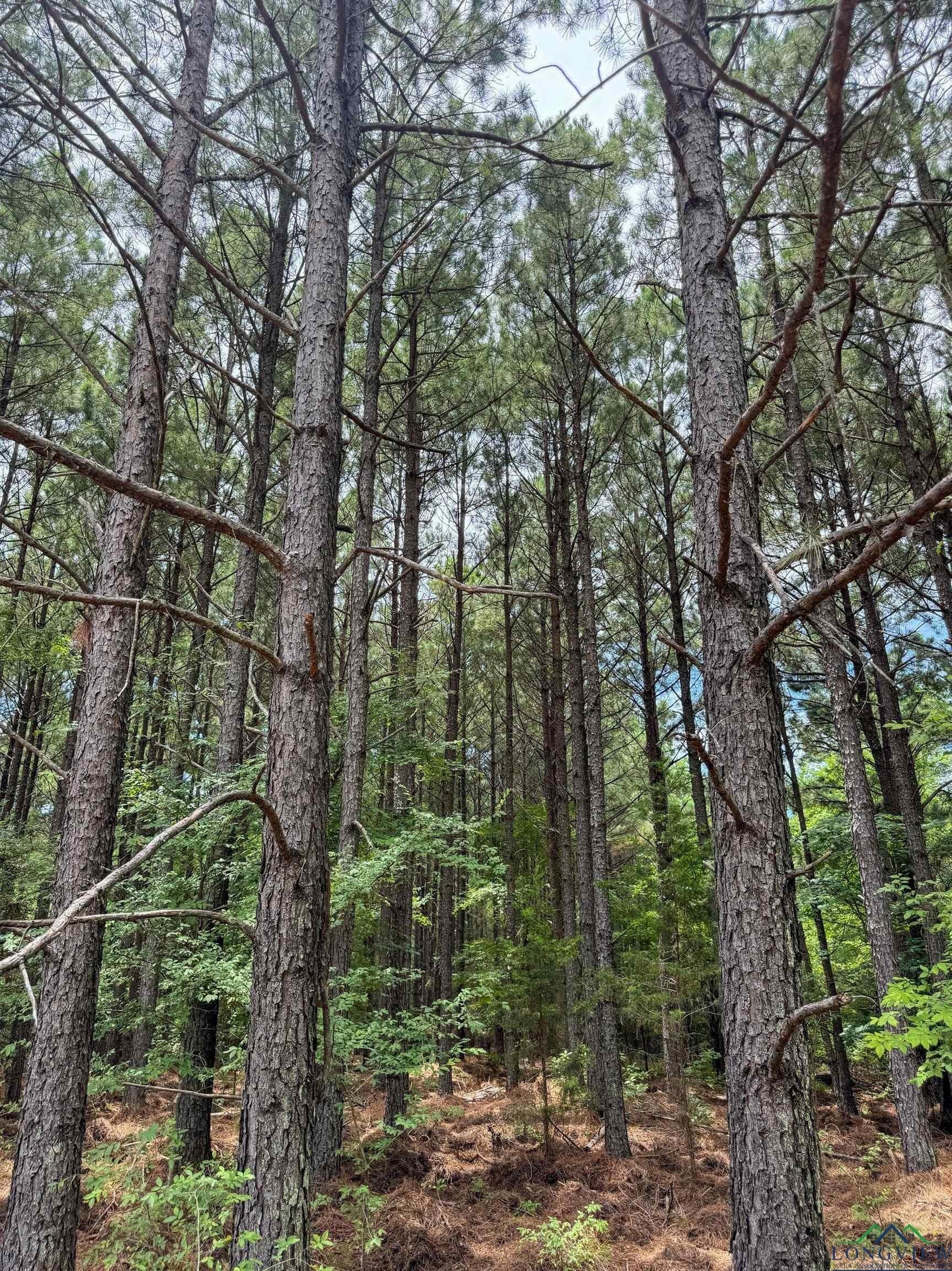 60.43 acres in Morris County - photo 33