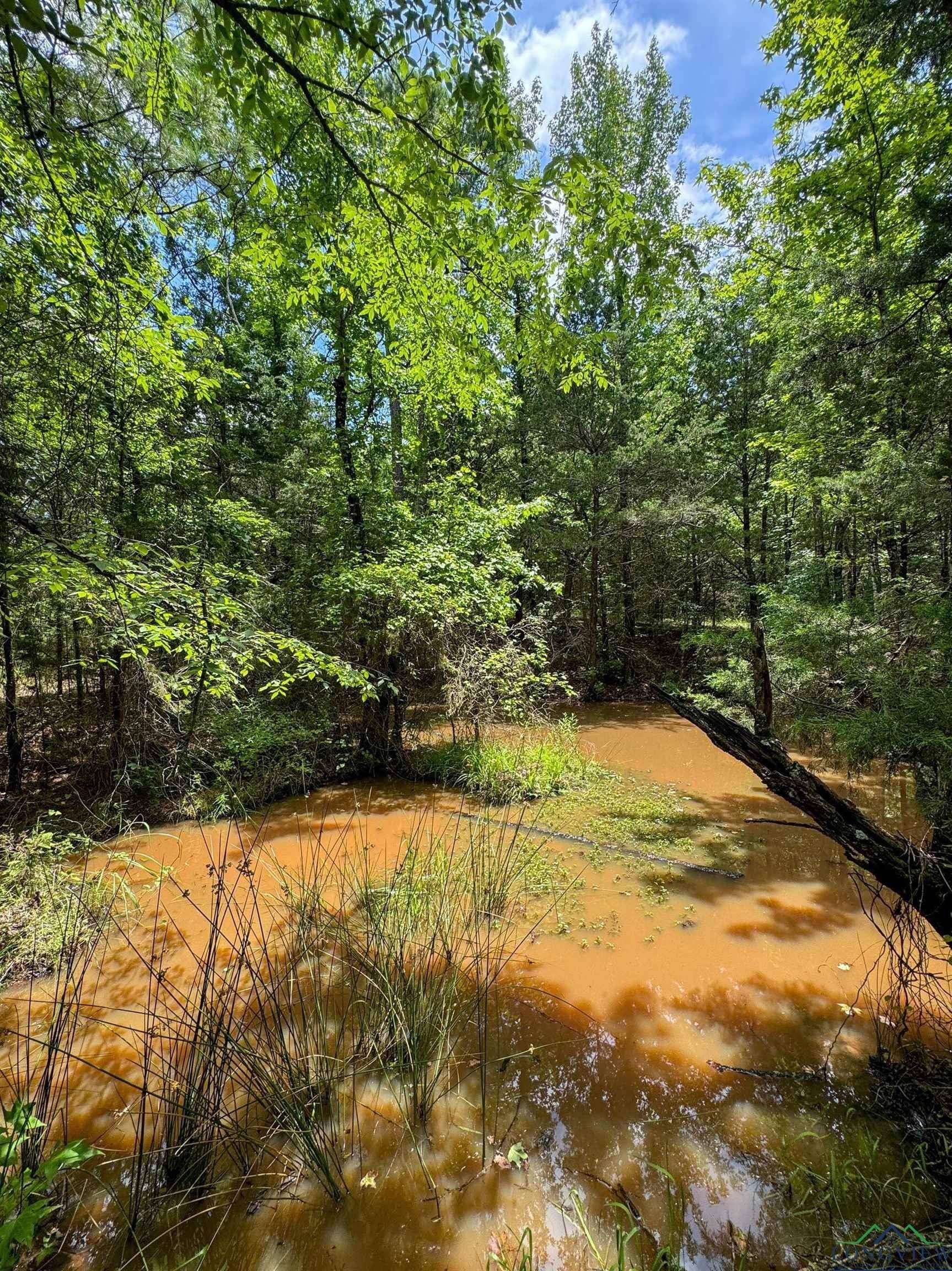 60.43 acres in Morris County - photo 26