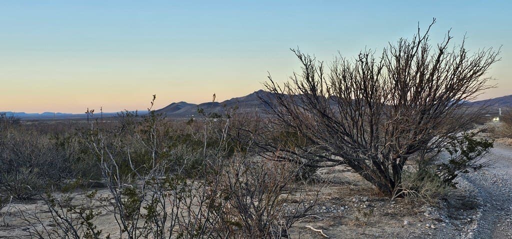 13.39 acres in Brewster County - photo 15