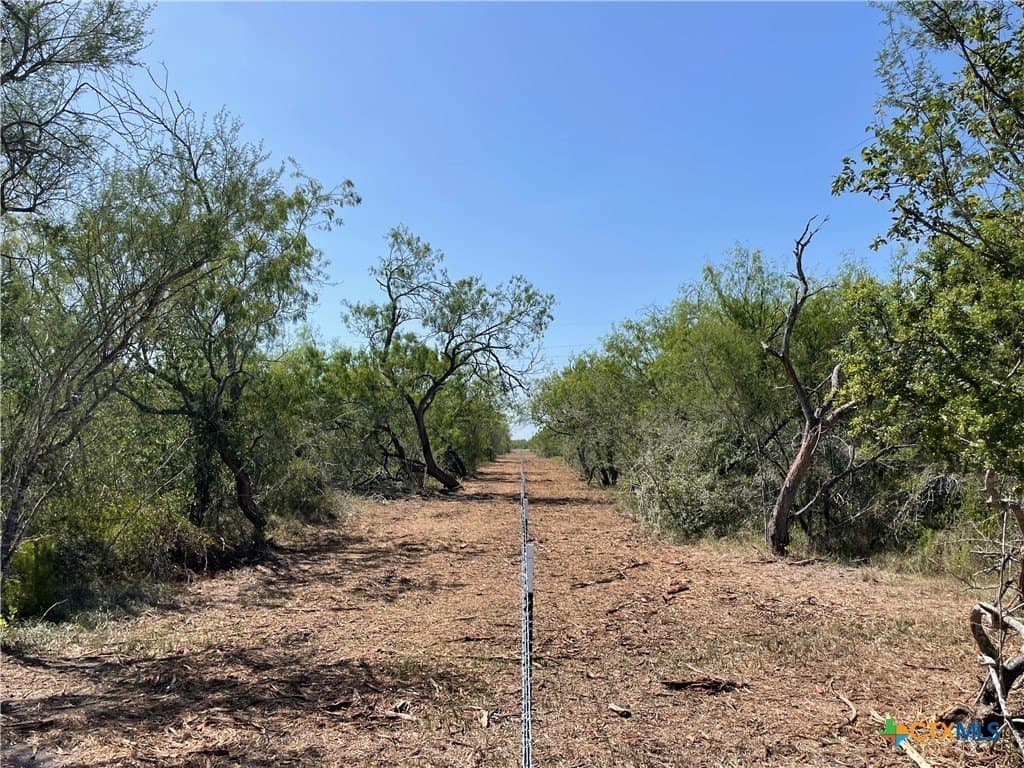5.01 acres in Victoria County - photo 7