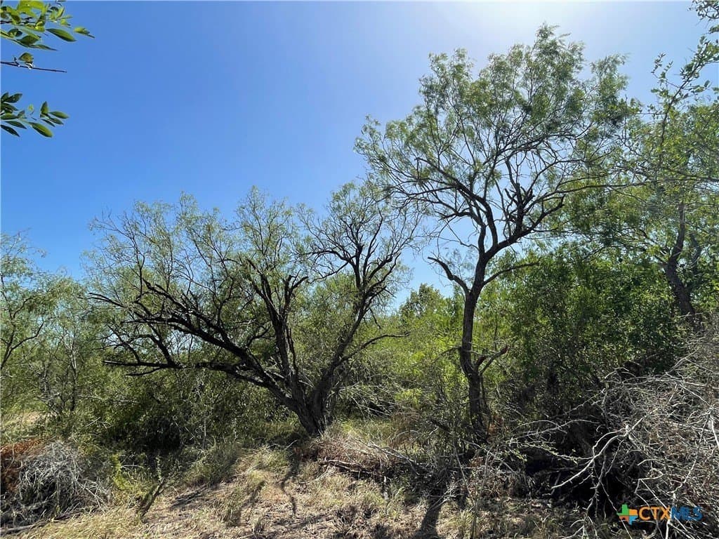 5.01 acres in Victoria County - photo 3