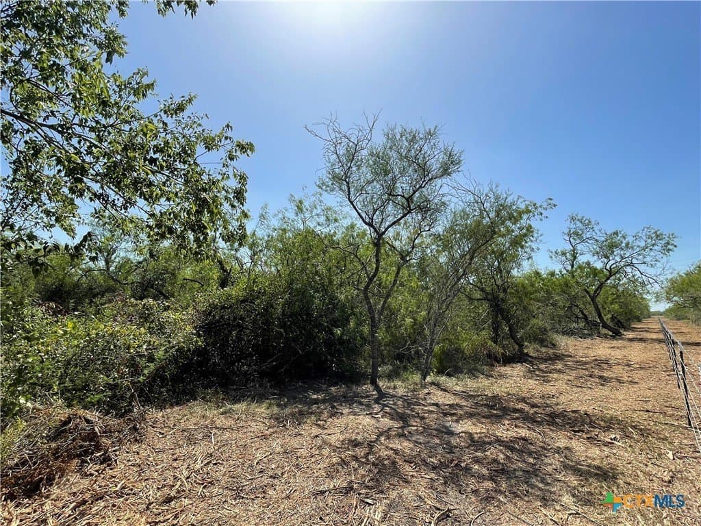 5.01 acres in Victoria County - photo 6