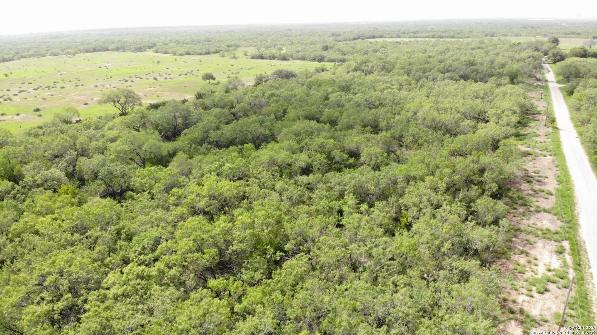 0.65 acres in Atascosa County - photo 5