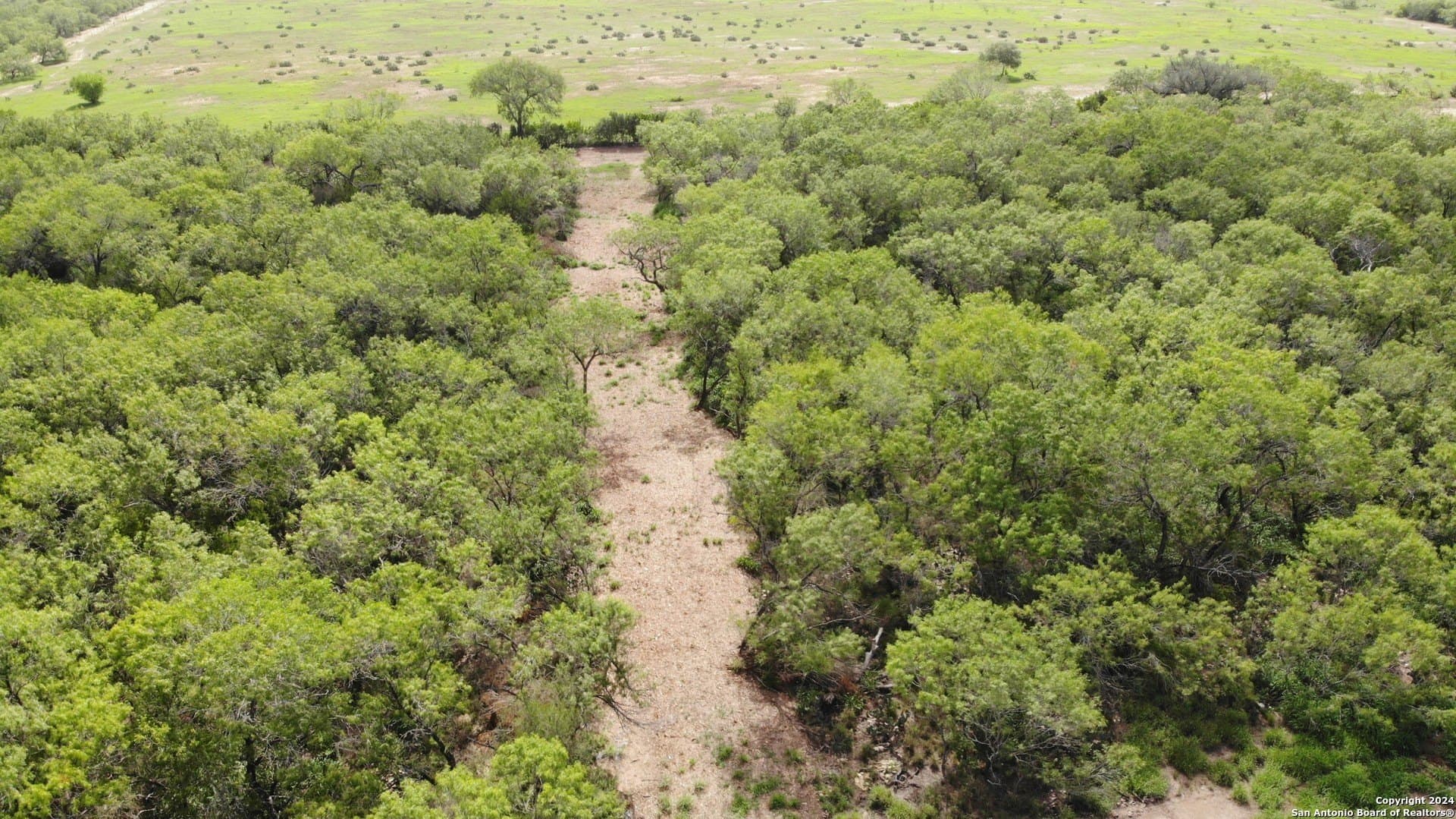 0.65 acres in Atascosa County - photo 2