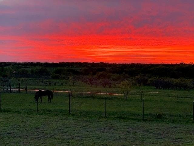 30.48 acres in Ellis County - photo 29