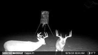 30.48 acres in Ellis County - photo 32