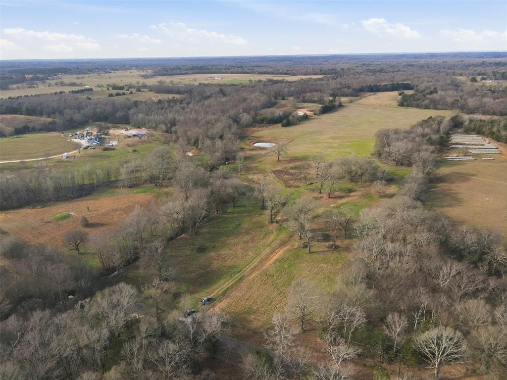 65.7 acres in Wood County - photo 12