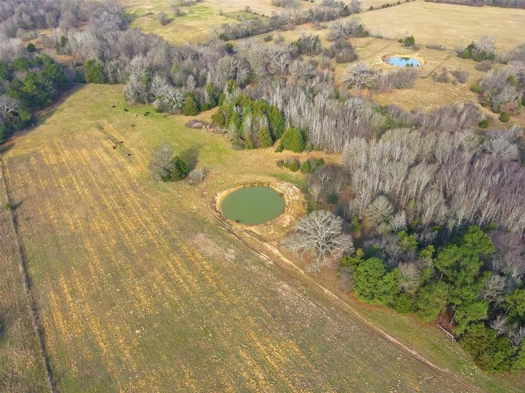 65.7 acres in Wood County - photo 15