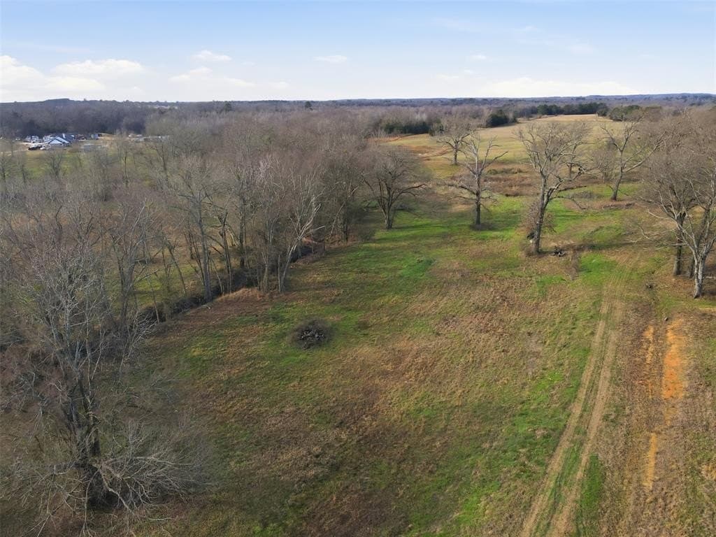 65.7 acres in Wood County - photo 19