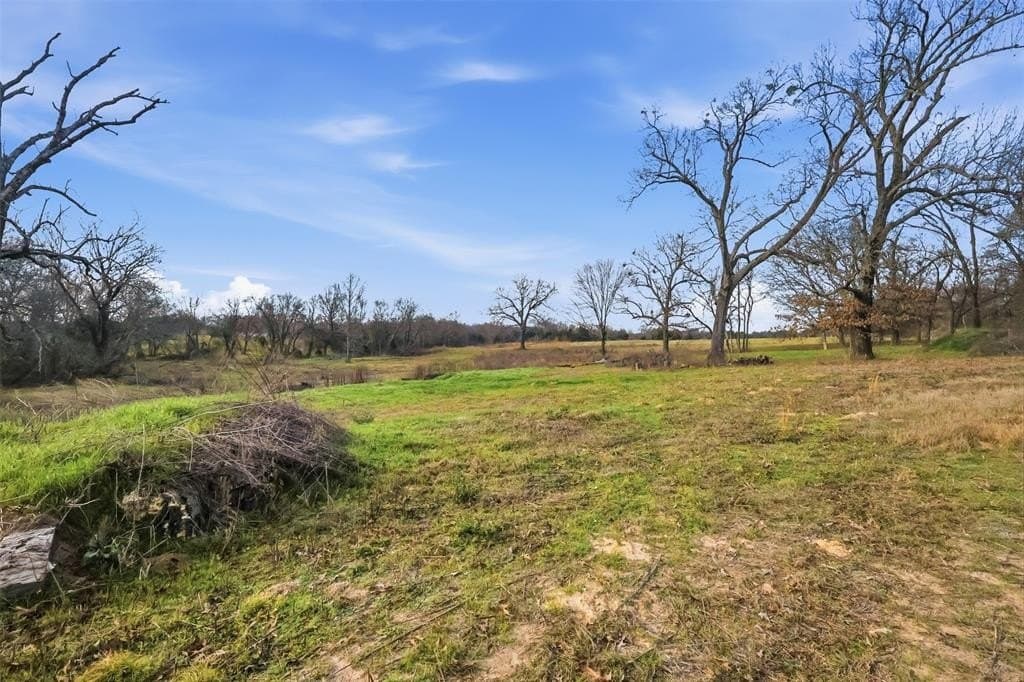 65.7 acres in Wood County - photo 9