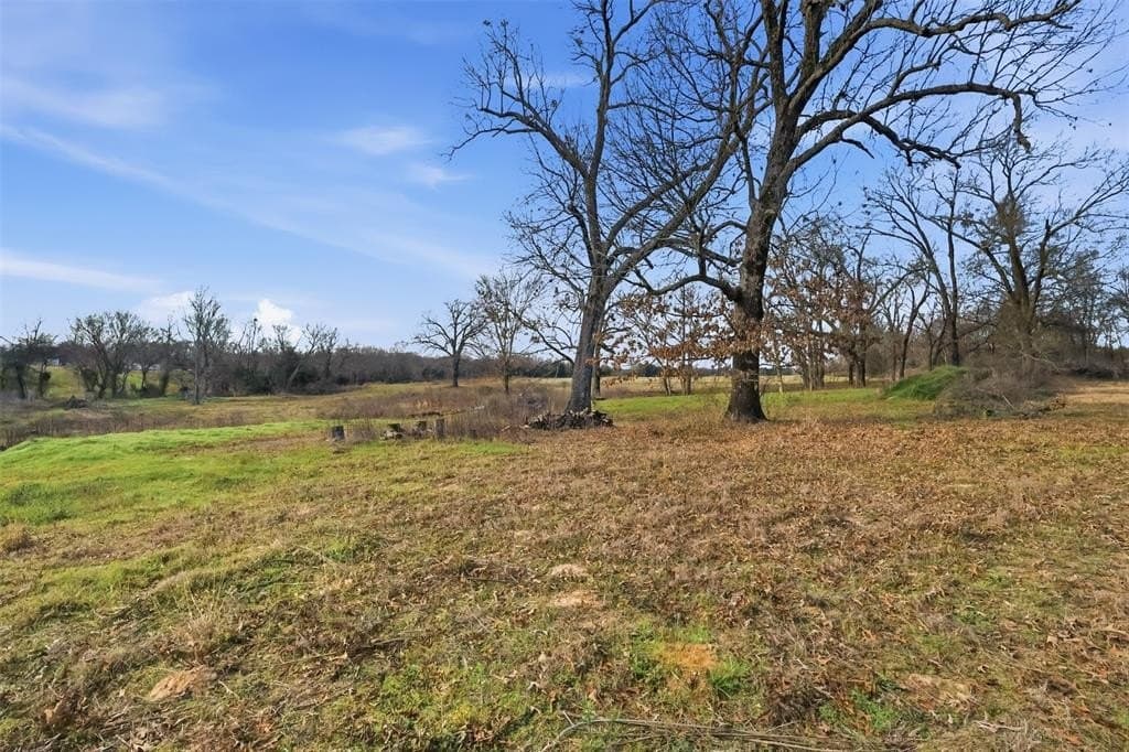 65.7 acres in Wood County - photo 4