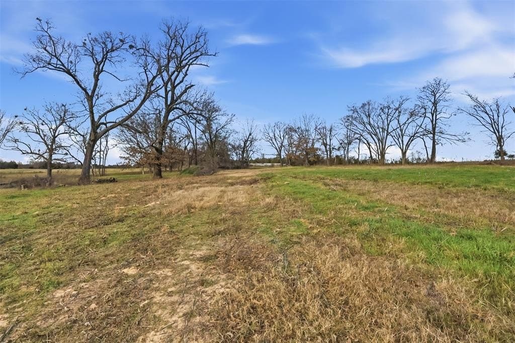 65.7 acres in Wood County - photo 10