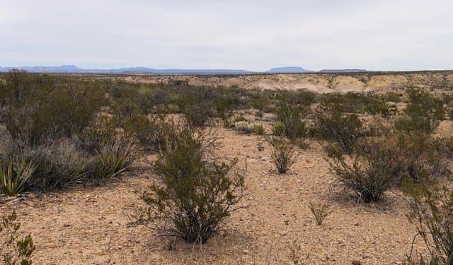 5 acres in Brewster County - photo 5