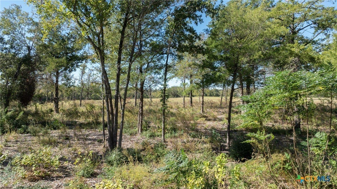 3.75 acres in Milam County - photo 19