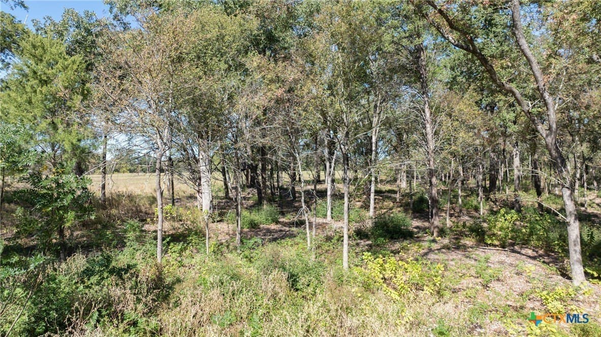3.75 acres in Milam County - photo 18