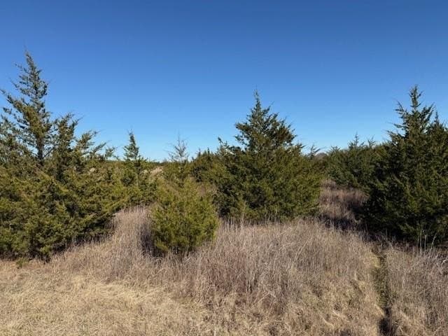 10.15 acres in Lamar County - photo 2