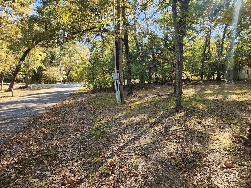 0.05 acres in Wood County - photo 3