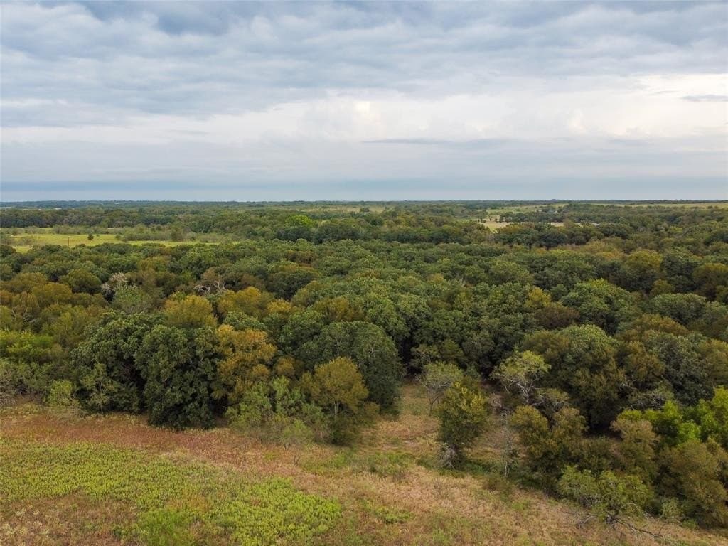 10.01 acres in Hill County - photo 8