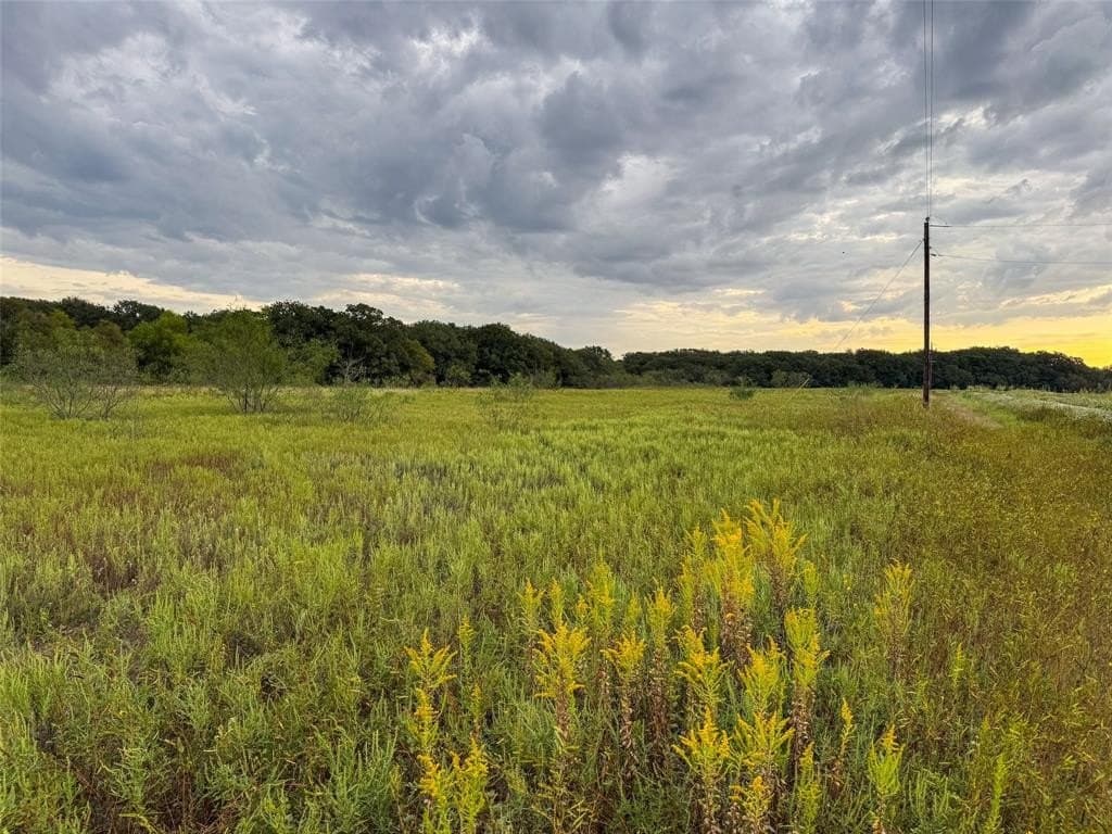 10.01 acres in Hill County - photo 27