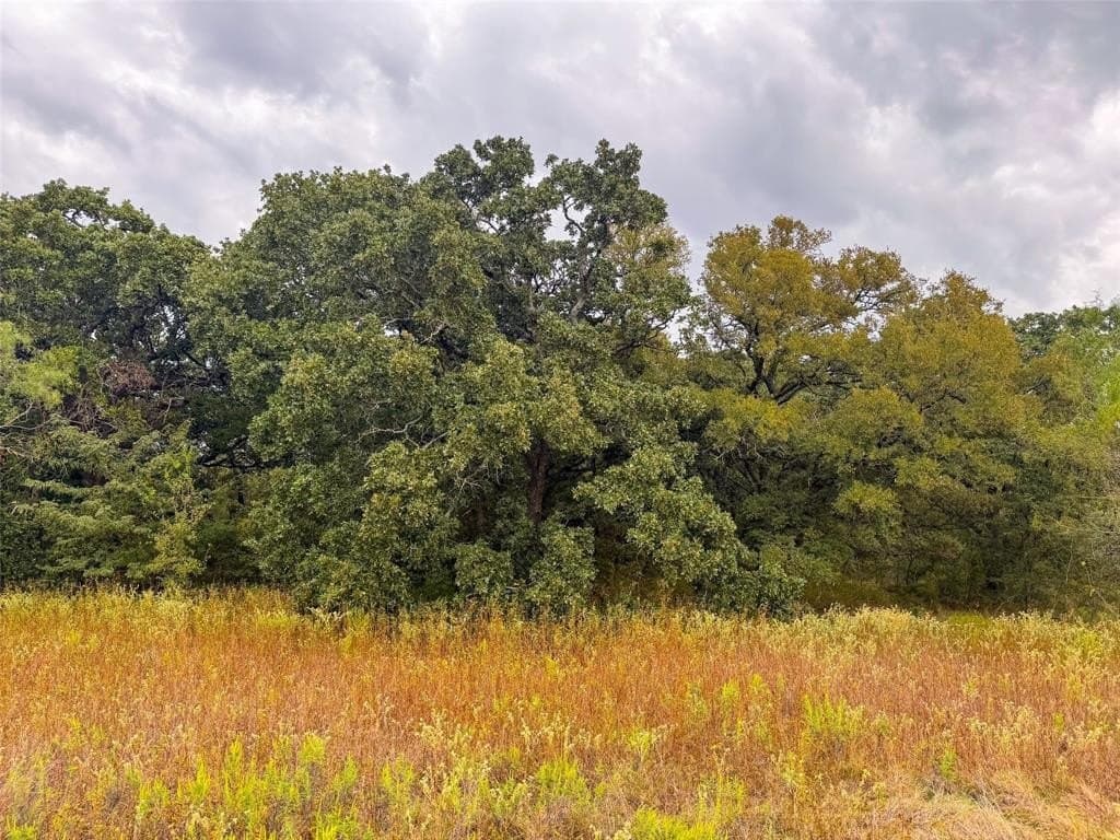 10.01 acres in Hill County - photo 29