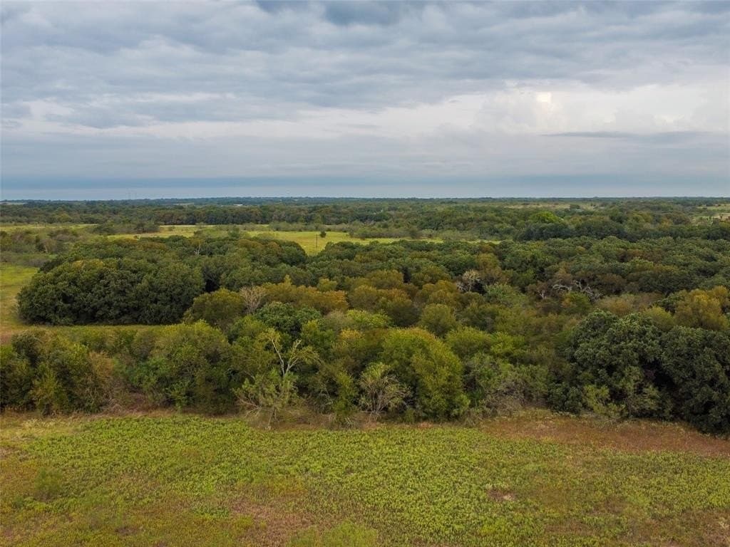 10.01 acres in Hill County - photo 15