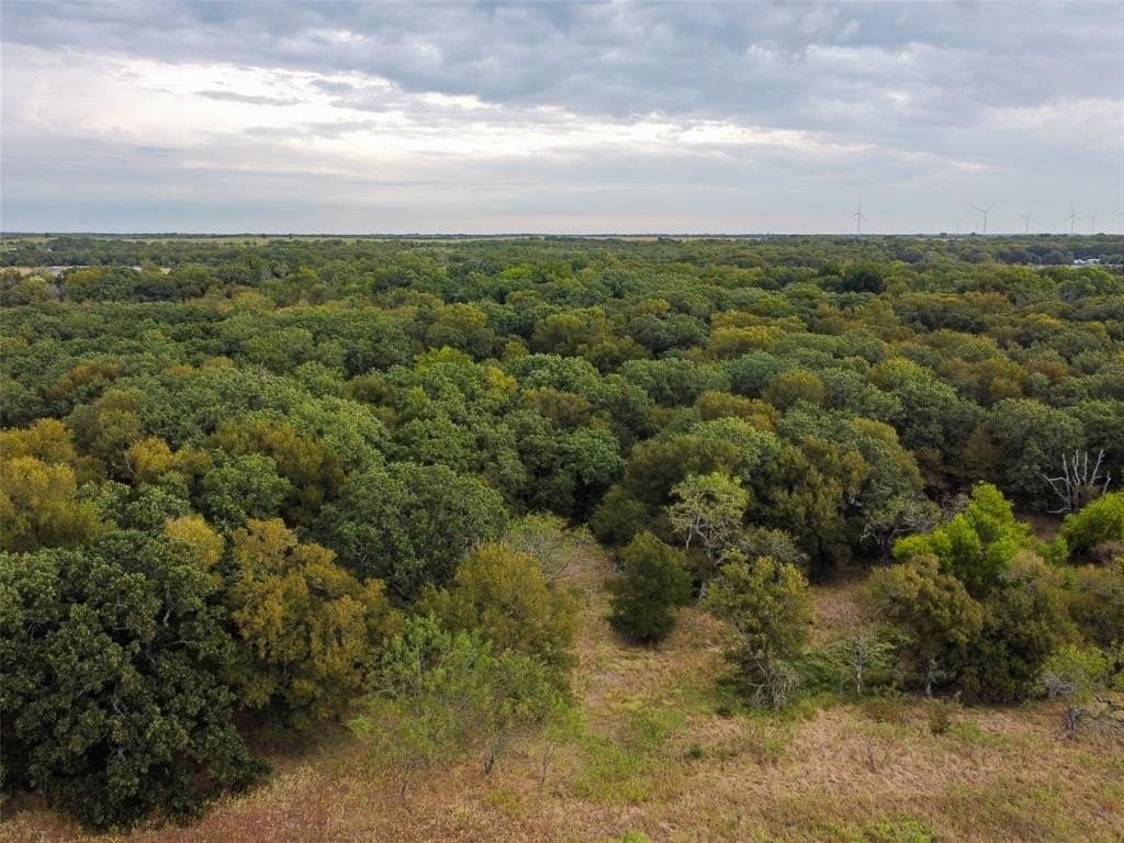10.01 acres in Hill County - photo 7