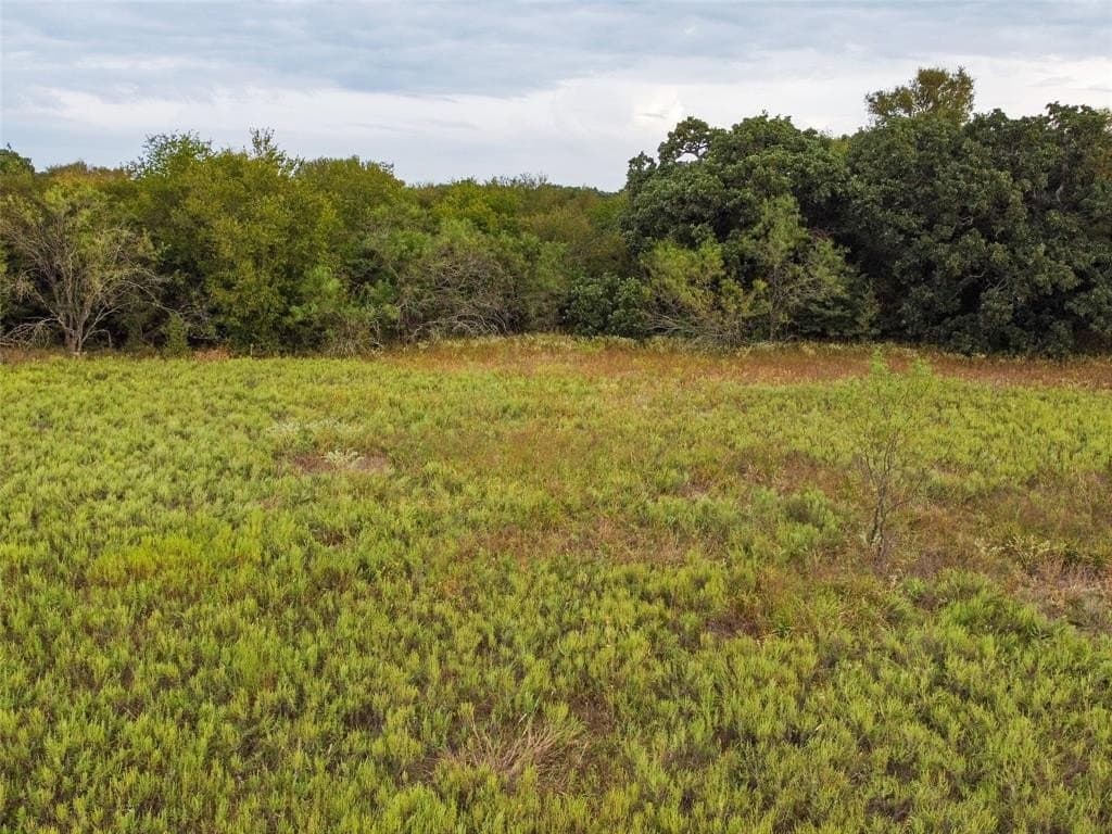 10.01 acres in Hill County - photo 24