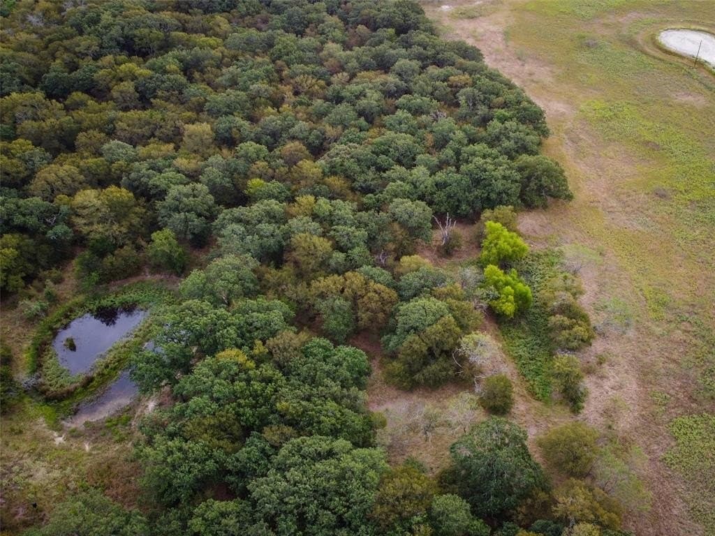 10.01 acres in Hill County - photo 10