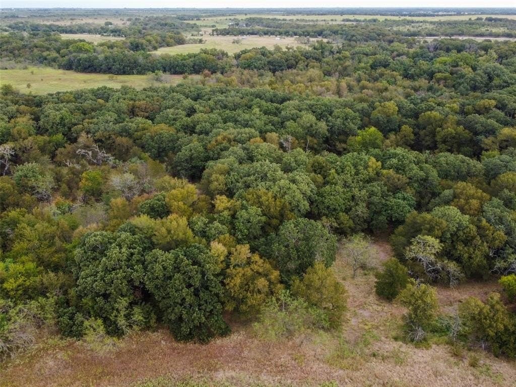 10.01 acres in Hill County - photo 17