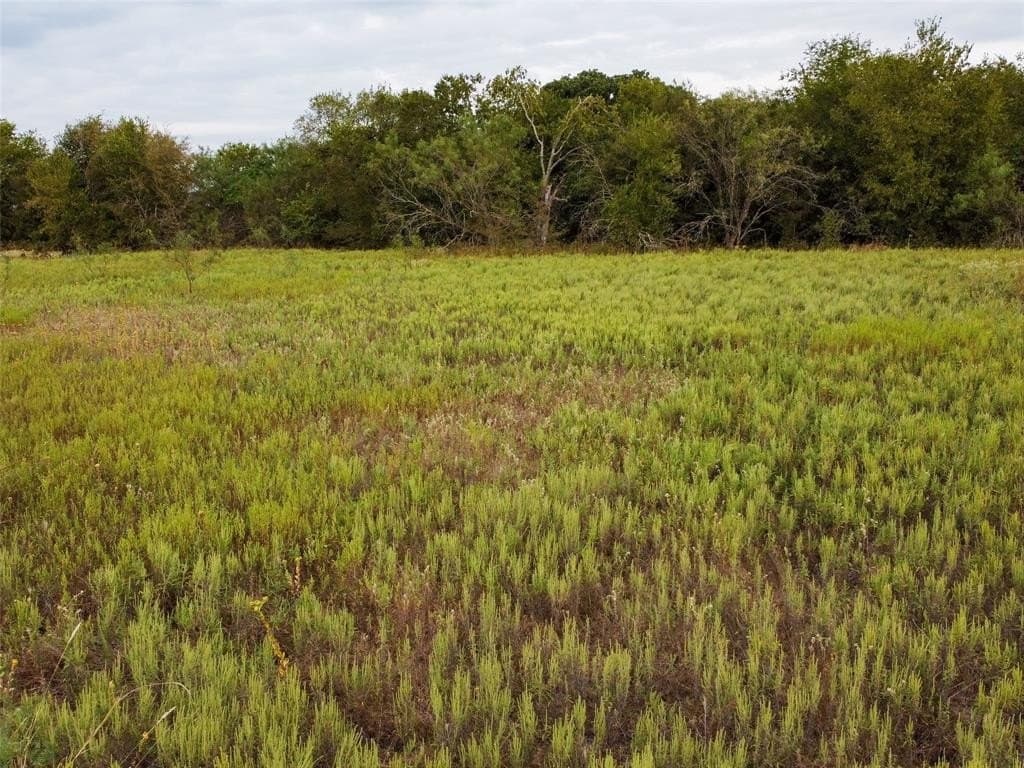 10.01 acres in Hill County - photo 16