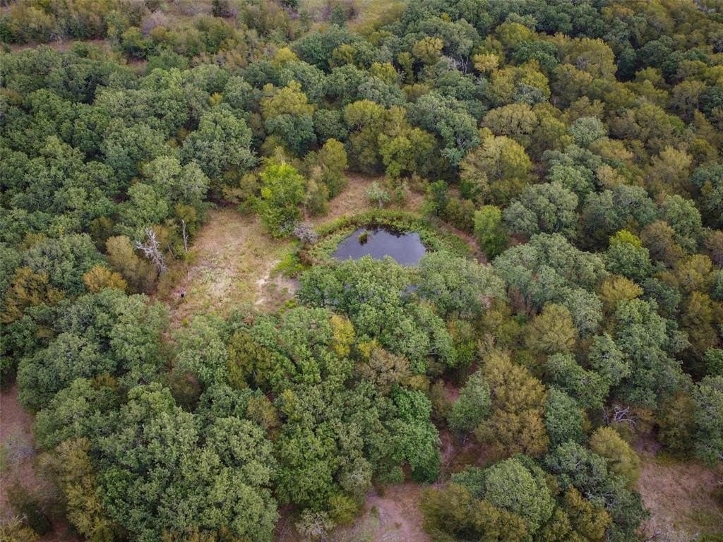 10.01 acres in Hill County - photo 18