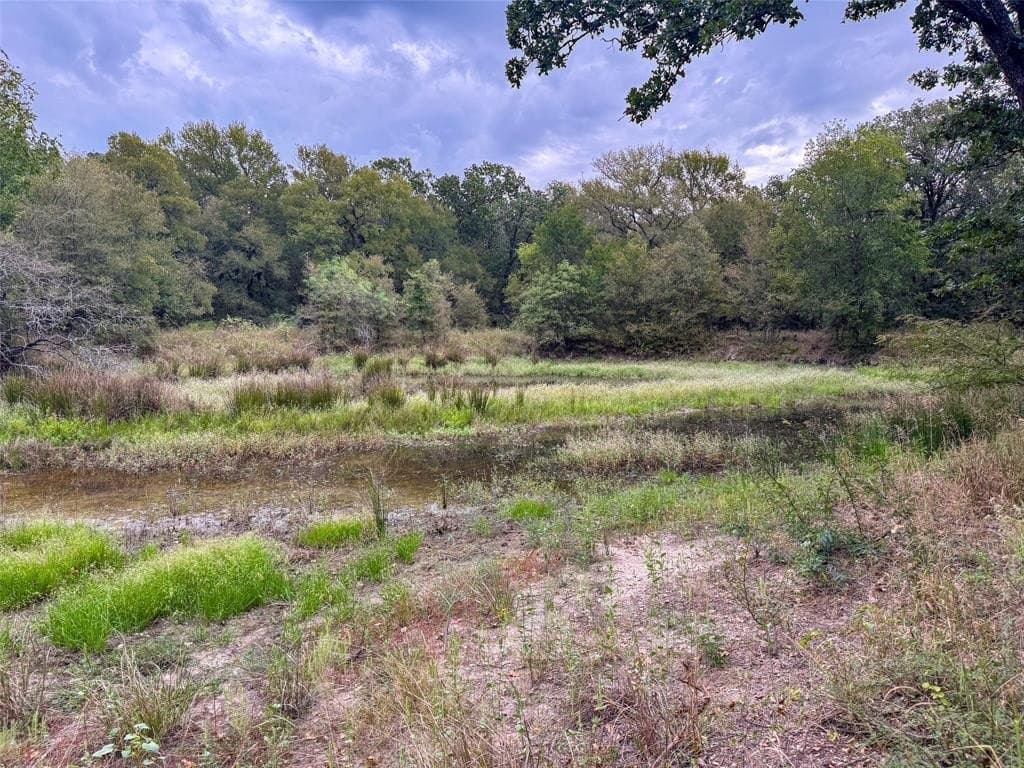 10.01 acres in Hill County - photo 30