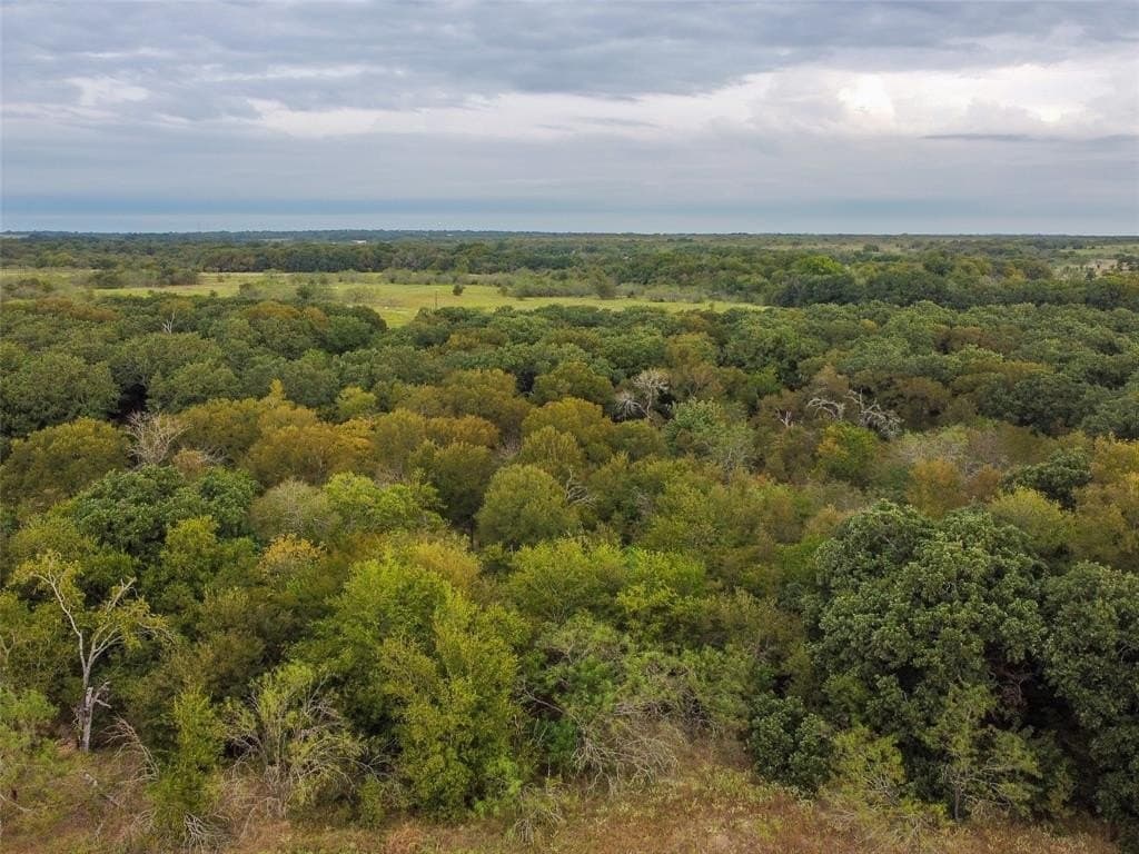 10.01 acres in Hill County - photo 13