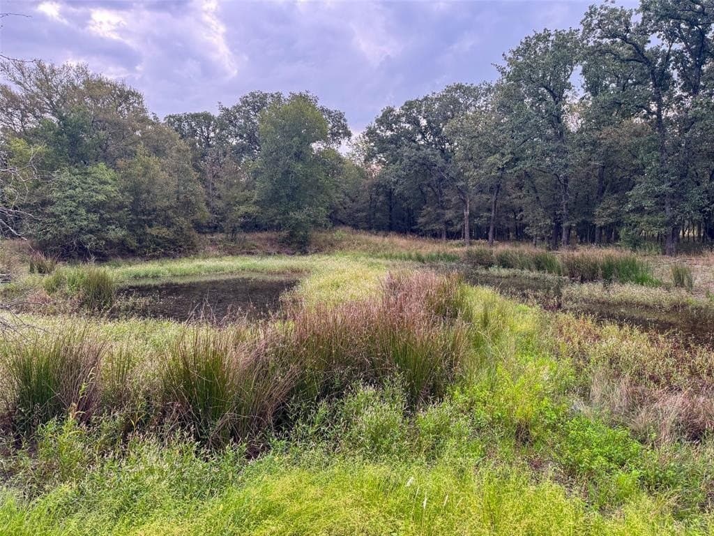 10.01 acres in Hill County - photo 31